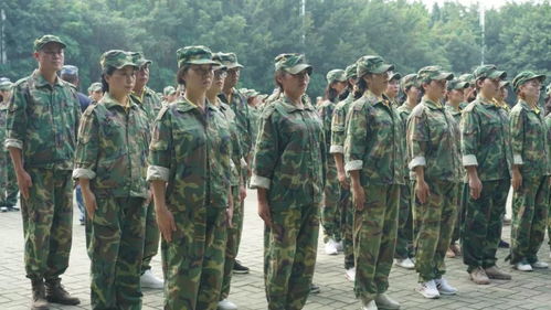 五福·黄埔之光团队军事拓展特训圆满落幕 铸就铁血之魂，淬炼团队力量
