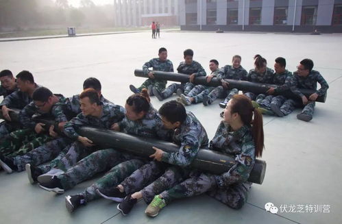 熔炼团队·铸就卓越——北京五融国际全体员工第一期军事拓展训练纪实